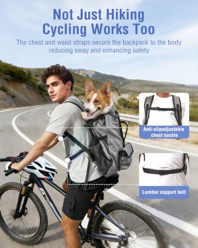 Dog Backpack Carrier for Small and Medium Dogs with Detachable Waist Bag（S） (10.2"L x 6.6"W x 21.2"H)