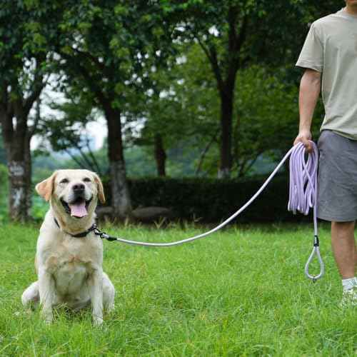 Long Dog Leash (Red / 30FT*0.4" Single Handle)