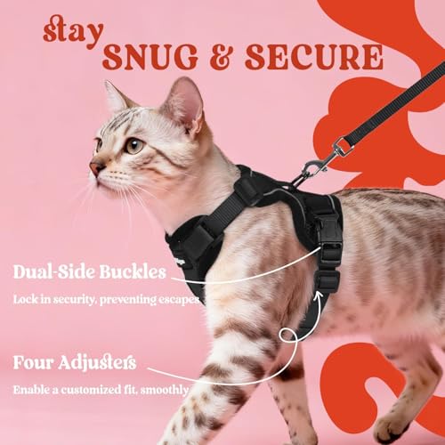 Cat Harness and Leash Set (Xs / Black)