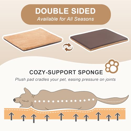 2 in 1 Dog House Indoor (2XL)