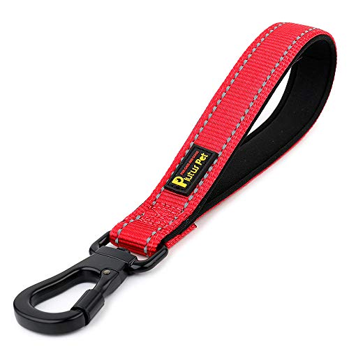 10” Short Dog Leash (Red / 10 Inch (Pack of 1))