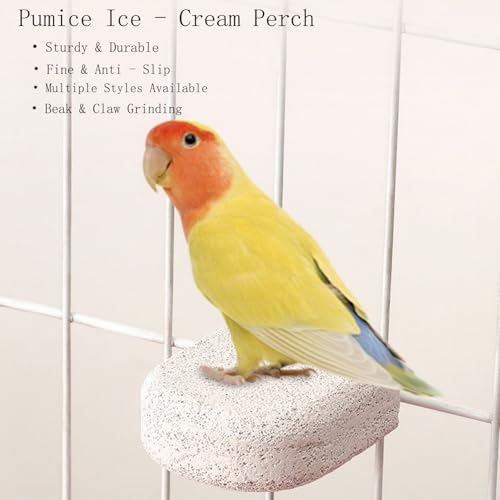 24 Inch Bird Rope Perch (polychrome / Medium)