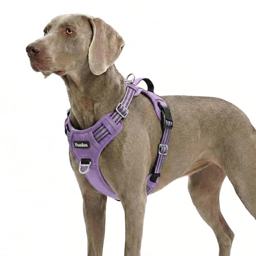 Dog Harness No Pull (Purple / X-Large)