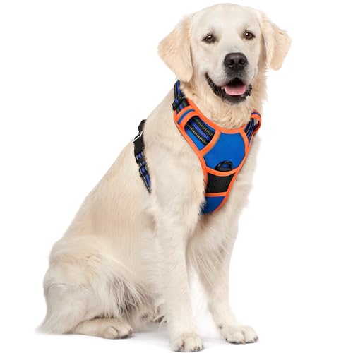 Dog Harness No Pull for Large Dogs with 2 Leash Clips (X-Large / Blue & Orange)