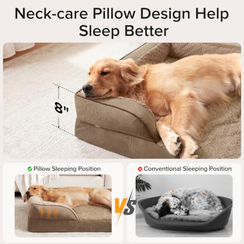 XXL Plus Orthopedic Dog Beds Large Sized (Brown / XXL- PLUS (53"x 42"x 8"))