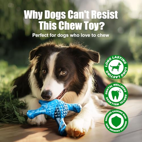 Dog Toys for Aggressive Chewers