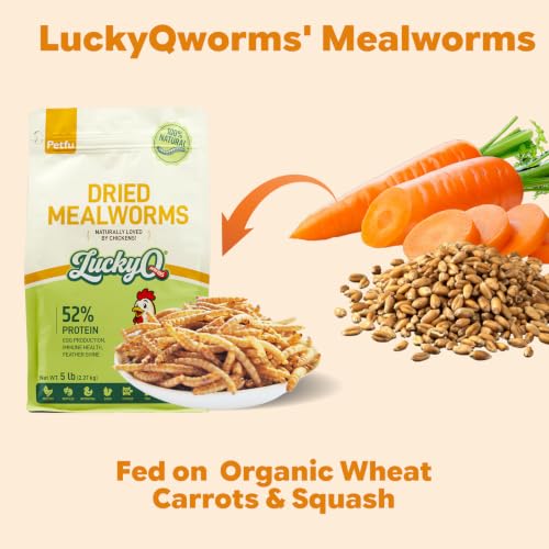 5lbs Dried Mealworms for Chickens Duck High Protein Birds Treat (80 Fl Oz (Pack of 1))