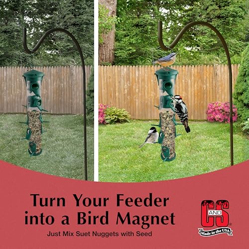 Peanut Suet Nuggets (8 Pound (Pack of 1))