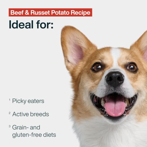 Pantry Fresh Wet Dog Food (12.5 Ounce (Pack of 12))