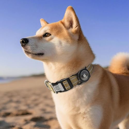 Airtag Dog Collar (Z: Gold / M: with Airtag Holder)