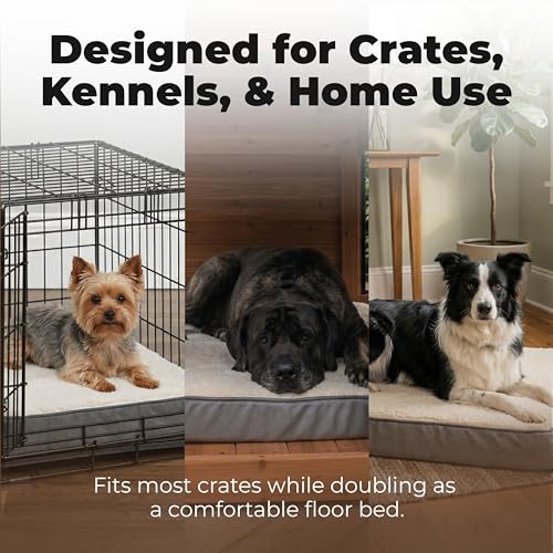 Orthopedic Dog Bed with Memory Foam (Brown / 24" x 16" x 3")