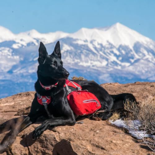 Big Baxter Dog Backpack Harness (Big Baxter / Chili/Barn Red)