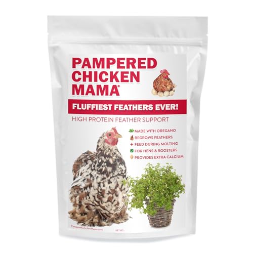 Backyard Chicken Molting Supplement (6 Pound (Pack of 1))