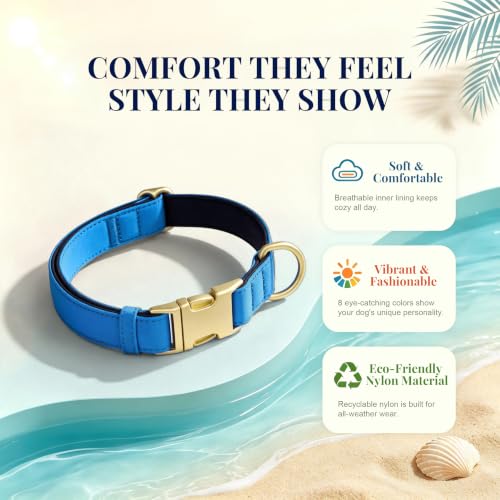 Soft Padded Dog Collar for Small Dogs (Blue / S：Fit 10-15" Neck, Width ⅝")