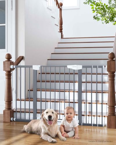 29.7 54.2" Wide Baby Gate (Gray / 29.7"-54.2" W x 30.5" H)