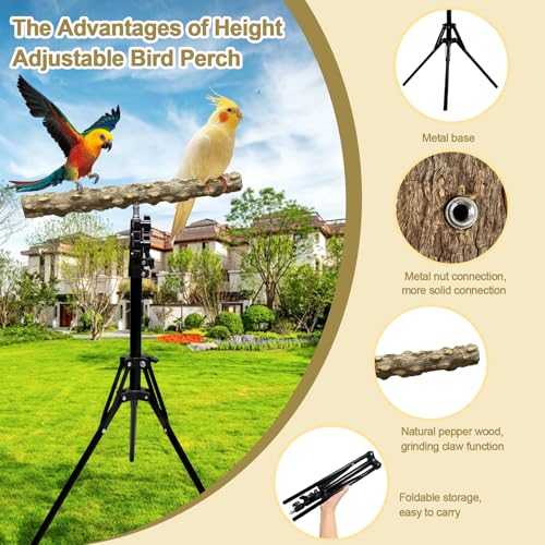 16 63 Inch Height Adjustable Bird Perch Pepper Wood Bird Training Perch Stand Parakeet Perches Indoor and Outdoor Parrot Stands for Small to Medium Bird (Floor Bird Perch)