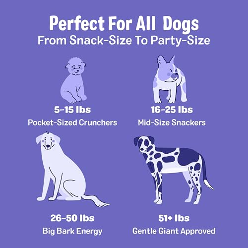 Bark'n Crunch! Chicken Chips with 100% Real Chicken (8 Ounce (Pack of 1))