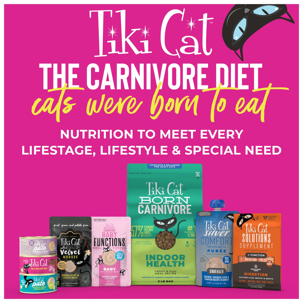 Tiki Cat Born Carnivore Dry Cat Food (17 Pound (Pack of 1))