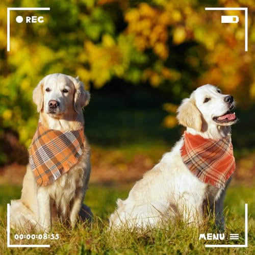 Fall Dog Bandana (X-Large / Fall)