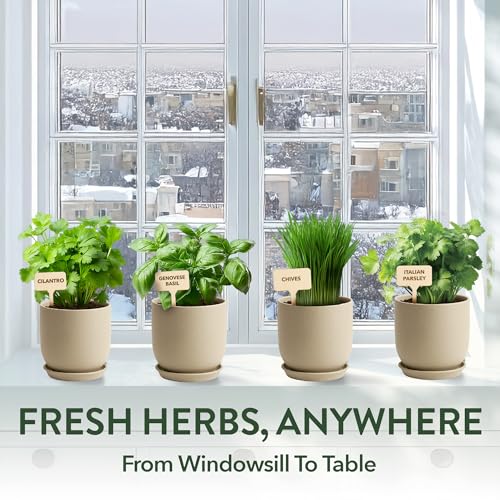Organic 4 Herb Indoor Garden Kit