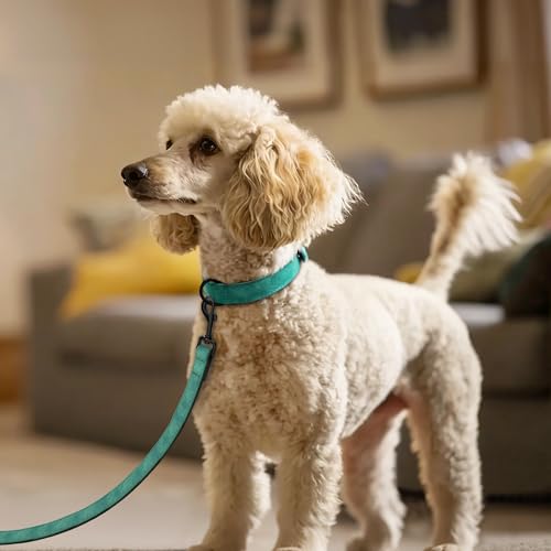 Soft PU Leather Dog Collar (M: Neck 11-15", Width ¾" / Green)