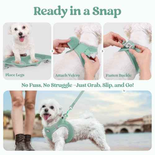 Dog Harness Small Sized and Leash Set (Moss Green / S (chest: 15.1 - 16.5"))