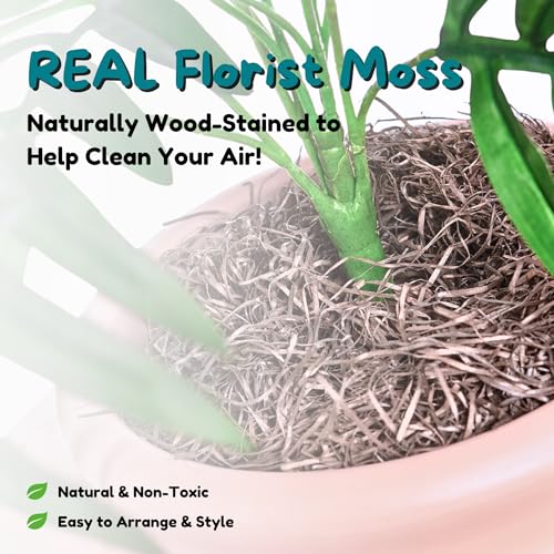 Original Hidden Litter Box Planter (Palm Plant / Essentials Kit / Blush Coral)