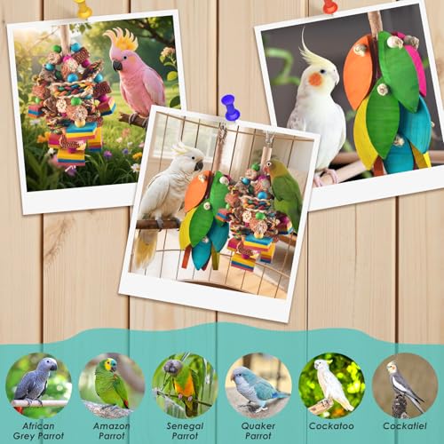2 Pcs Large Bird Toys