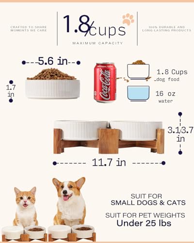 Elevated Ceramic Dog Cat Bowl Set (Small-1.8Cups / Vintage White)