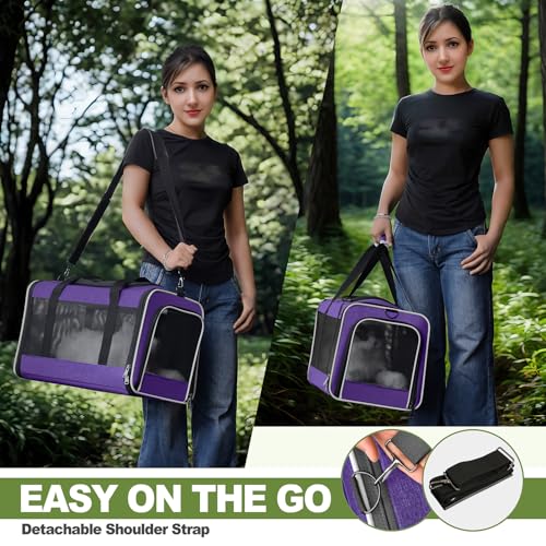 Pet Carrier for Cat 18x11x11 Inch (Purple / 18.0"L x 11.0"W x 11.0"H)