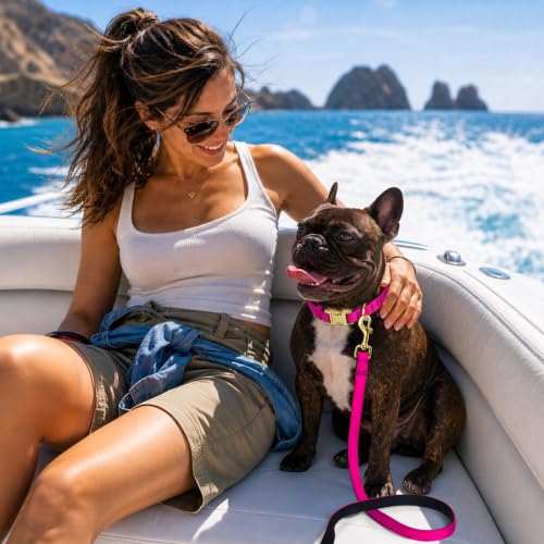 Soft Padded Dog Collar for Medium Dogs (Rose Purple / M：Fit 14-18" Neck, Width ¾")