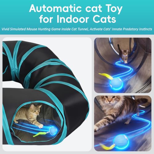 Interactive Cat Toy (8-Shape)
