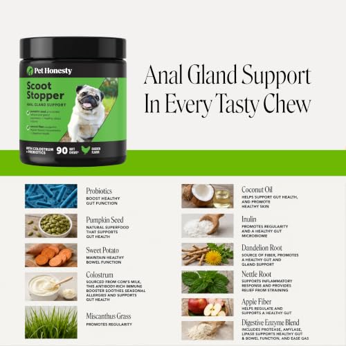 Scoot Stopper Anal Gland Chews for Dogs with Pumpkin (90 ct Chews)