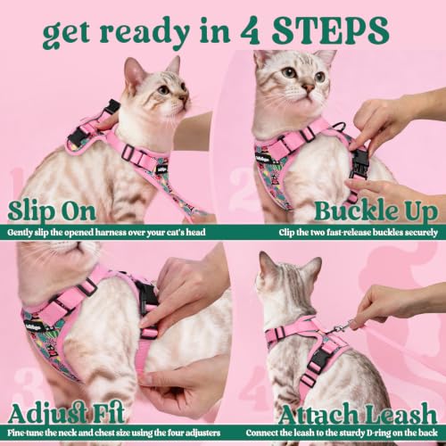 Cat Harness and Leash Set (Xxs / Melon Munch)