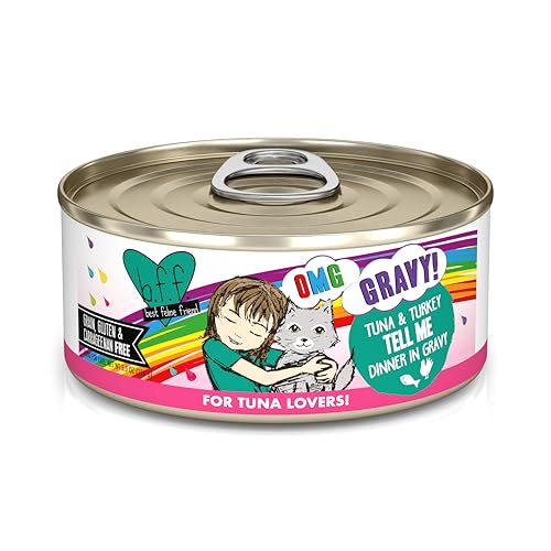 B.F.F. OMG Best Feline Friend Oh My Gravy! (5.5 Ounce (Pack of 8))