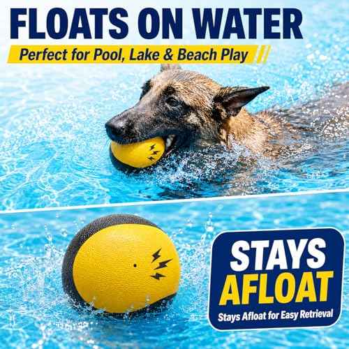 Squeaky Balls for Dogs (YellowBlack)