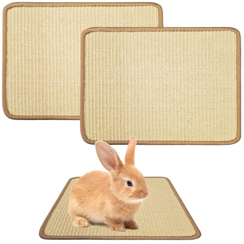 2Pcs Rabbit Scratch Mat