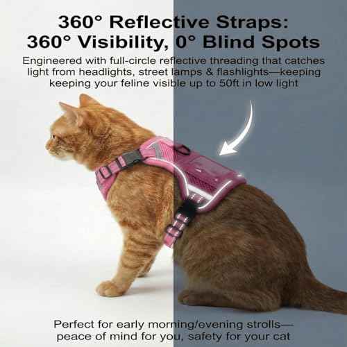 Escape Proof Cat Harness and Leash Set (Pink / M)