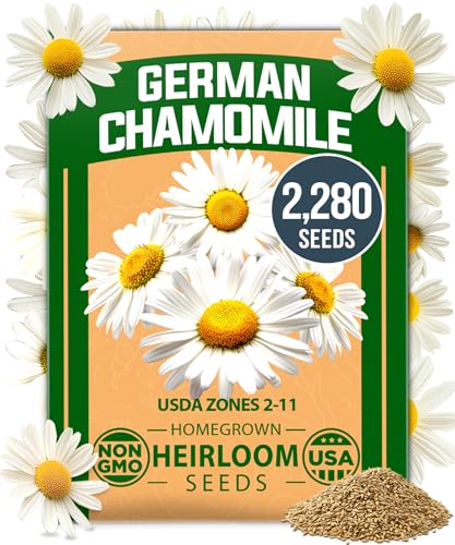 German Chamomile Seeds