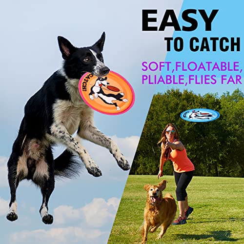 Dog Flying Disc