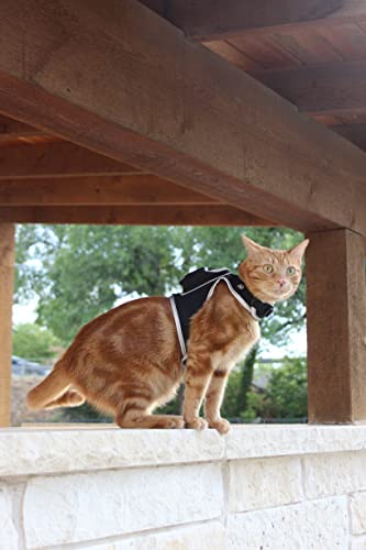 Travel Cat & Stray Cat Harness and Leash Set (MEDIUM: 11-13 IN)
