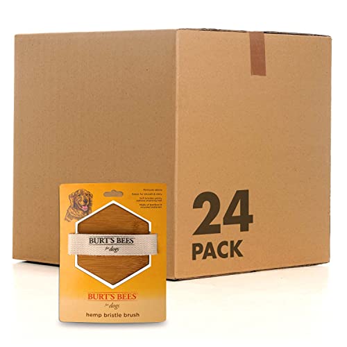 Palm Brush with Hemp Bristles (Brown / 24 Count)