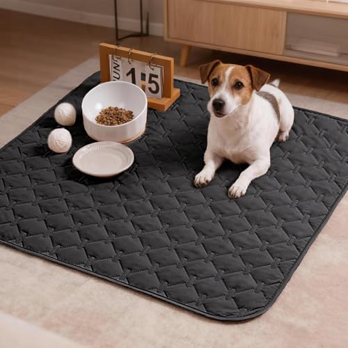 100% Double Sided Waterproof Dog Blanket Soft Pet Bed Cover Reversible Protect Furniture Couch Sofa Car for Puppy Large Dog Cat (30x30 Inch (Pack of 1) / Dark Charcoal/Light Charcoal)