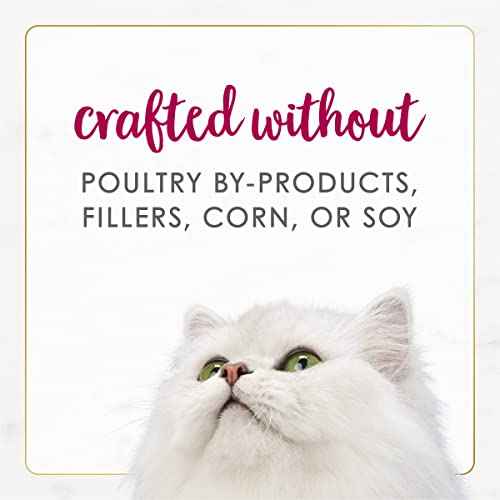 Purina Fancy Feast Gourmet Naturals Chicken and Beef (1 Count (Pack of 12))