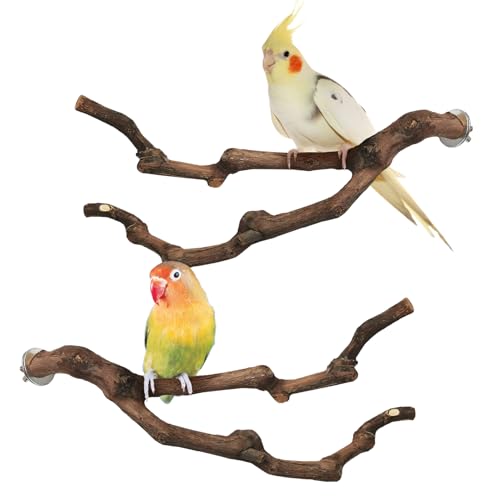 Natural Parrot Perch Grape Wood Bird Stand Pole Parakeet Paw Grinding Fork Chewable Climbing Branches Toy Bird Cage Accessories for Budgies Conures Cockatiels Lovebirds (7.9in)