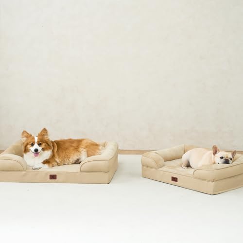 Orthopedic Dog Beds Large Sized Dog (Graige / 36.0"l X 27.0"w X 6.5"th)