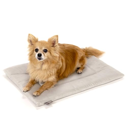 Dog Crate Pad (20.0"L x 15.0"W x 1"Th / Light Grey)