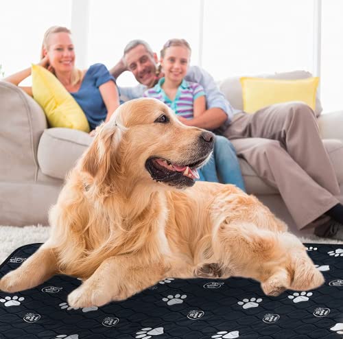 Reusable Dog Pee Pads (48x72 Inch)