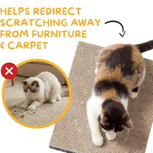 Cat Scratcher Refill Pads 2 Pack Double Sided Cardboard