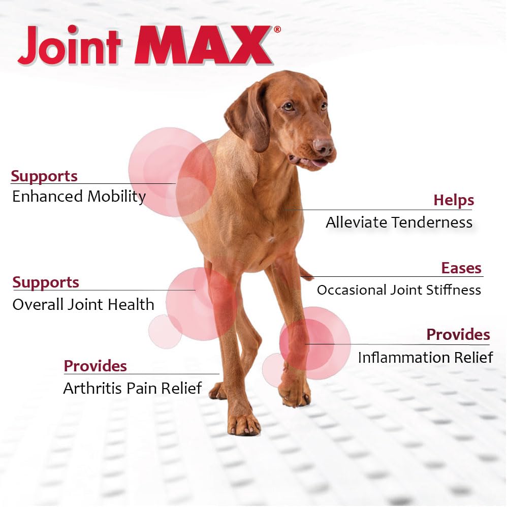 TS Joint Supplement Vet Formulated Pain & Inflammation Relief Treats Hip Dysplasia & Arthritis (Granules (120 Doses))